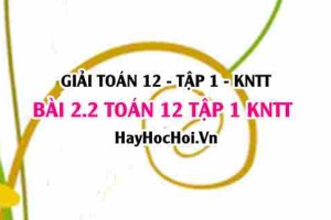 Giải 2.2 Toán 12 tập 1 SGK Kết nối tri thức